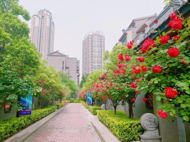 亚星登录平台