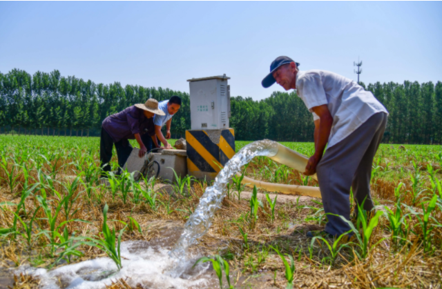 挽回了丢失掌管了公道也给文身服务供给者敲响了法令警钟